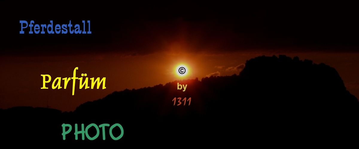 1311er